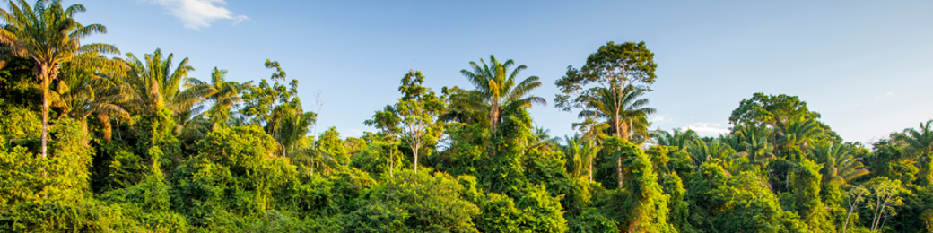 Suriname