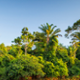 Suriname
