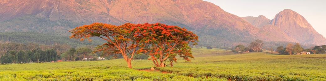 Malawi