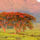 Malawi