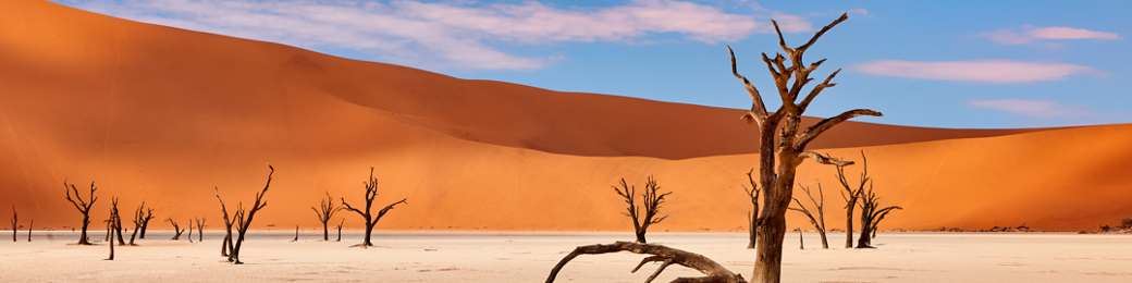 Namibi&euml;