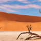 Namibië