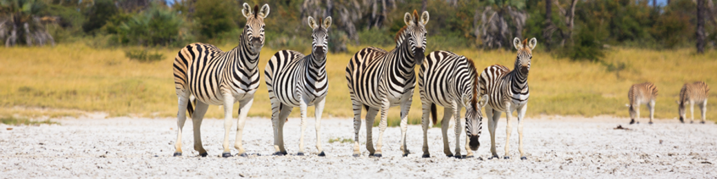 Botswana