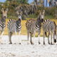 Botswana